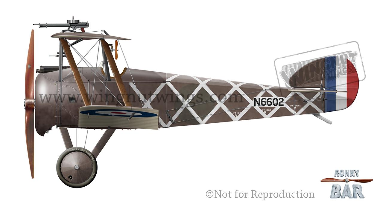 楽天 Wings Wingnut -  2F.1 Sopwith 1/32 航空機・ヘリコプター